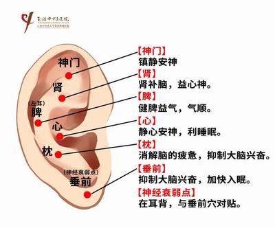 調整大小 微信圖片_20230809092723.jpg